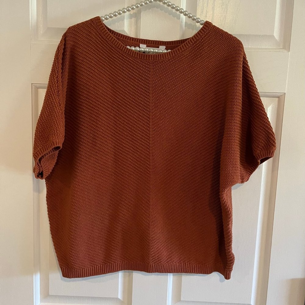Time and Tru Ladies Crew Neck Short Sleeve Knit Sweater Size L